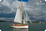 Gaffel-Cutter 31.8 - Sailing boat